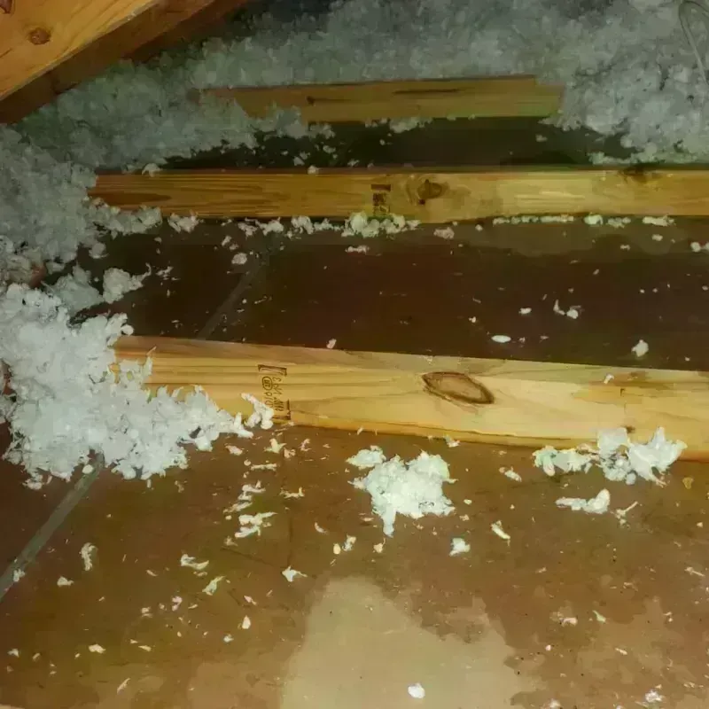 Attic Water Damage in Maharishi Vedic City, IA